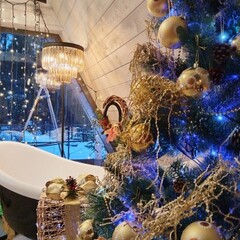 База отдыха А в лесу, Московская область