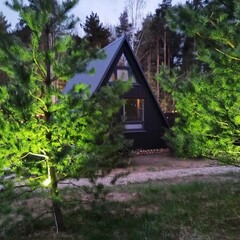 База отдыха А в лесу, Московская область