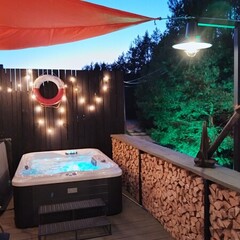 База отдыха А в лесу, Московская область