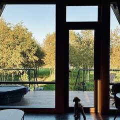 Глэмпинг Трофимов Берег, Московская область