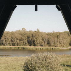 Глэмпинг Трофимов Берег, Московская область