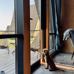 Глэмпинг Трофимов Берег, Московская область