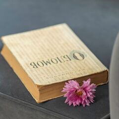 Гостевой дом Дом Писателя, Новгородская область