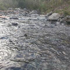 Гостевой дом Лесной ручей, Республика Карачаево-Черкесия 