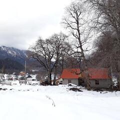 Гостевой дом Лесной ручей, Республика Карачаево-Черкесия 