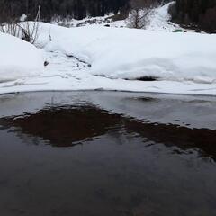 Гостевой дом Лесной ручей, Республика Карачаево-Черкесия 
