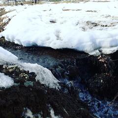 Гостевой дом Лесной ручей, Республика Карачаево-Черкесия 
