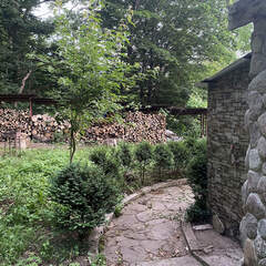 Гостевой дом Никель, Республика Адыгея