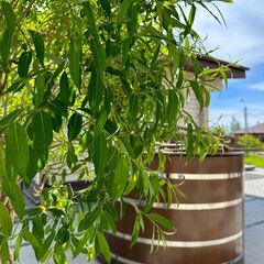 Гостевой дом NICKOL house&sauna, Тюменская область