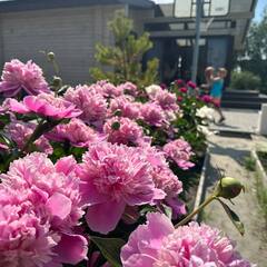 Гостевой дом NICKOL house&sauna, Тюменская область