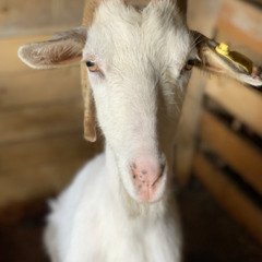 База отдыха ZAгород, Ярославская область