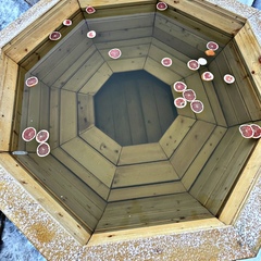 Глэмпинг Crealife, Вологодская область