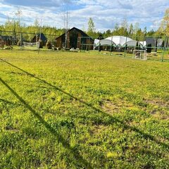 Парк-отель Некрасово, Тульская область