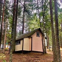 База отдыха Журавушка, Орехово, Ленинградская область