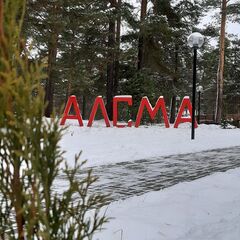 Спа-отель Алсма, Бор, Нижегородская область