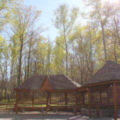 Санаторий Крутушка, Казань, Татарстан