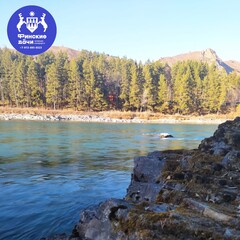 База отдыха Финские дачи, Республика Алтай