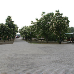 База отдыха Тихая Гавань, Ростовская область