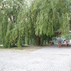 База отдыха Тихая Гавань, Ростовская область