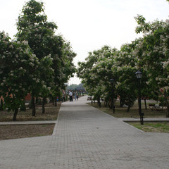 База отдыха Тихая Гавань, Ростовская область