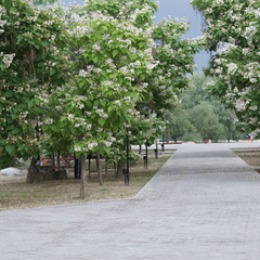 База отдыха Тихая Гавань, Ростовская область