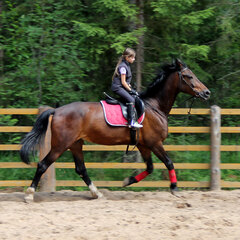 Загородный комплекс Нью-Ветлуга – Парк, Костромская область