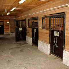 Загородный комплекс Нью-Ветлуга – Парк, Костромская область