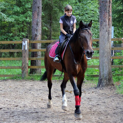 Загородный комплекс Нью-Ветлуга – Парк, Костромская область