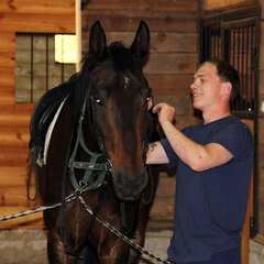 Загородный комплекс Нью-Ветлуга – Парк, Костромская область