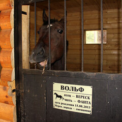 Загородный комплекс Нью-Ветлуга – Парк, Костромская область