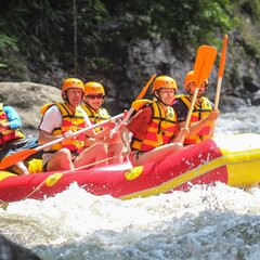 Загородный комплекс Нью-Ветлуга – Парк, Костромская область