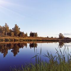 Глэмпинг Отдых у реки, Тульская область