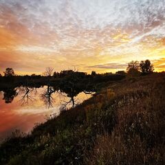 Глэмпинг Отдых у реки, Тульская область