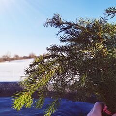 Глэмпинг Отдых у реки, Тульская область