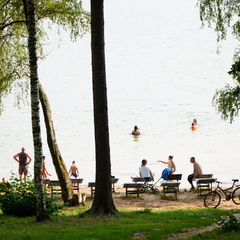 Глэмпинг VETVI HOME, Московская область