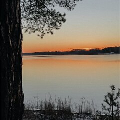 Глэмпинг VETVI HOME, Московская область