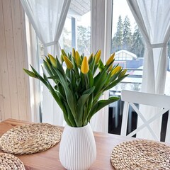 Глэмпинг VETVI HOME, Московская область