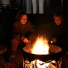 Глэмпинг VETVI HOME, Московская область