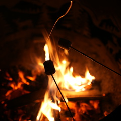 Глэмпинг VETVI HOME, Московская область