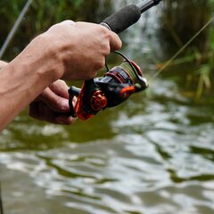 Глэмпинг VETVI HOME, Московская область