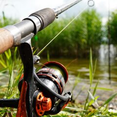 Глэмпинг VETVI HOME, Московская область