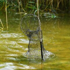 Глэмпинг VETVI HOME, Московская область