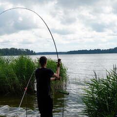 Глэмпинг VETVI HOME, Московская область