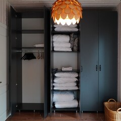 Глэмпинг VETVI HOME, Московская область