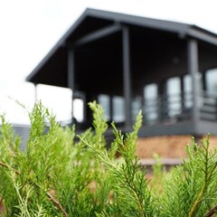 Глэмпинг VETVI HOME, Московская область