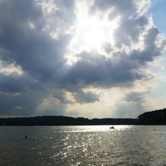 Глэмпинг VETVI HOME, Московская область