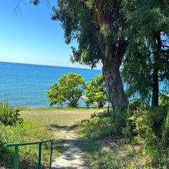 База отдыха Бамбукинг, Гудаута