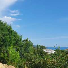 База отдыха Бамбукинг, Гудаута