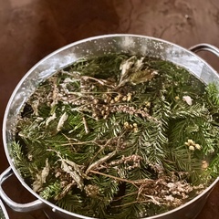 База отдыха Фестиваль-Парк, Смоленская область