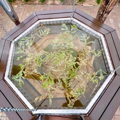 База отдыха Фестиваль-Парк, Смоленская область